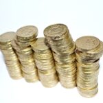 Capital Investment