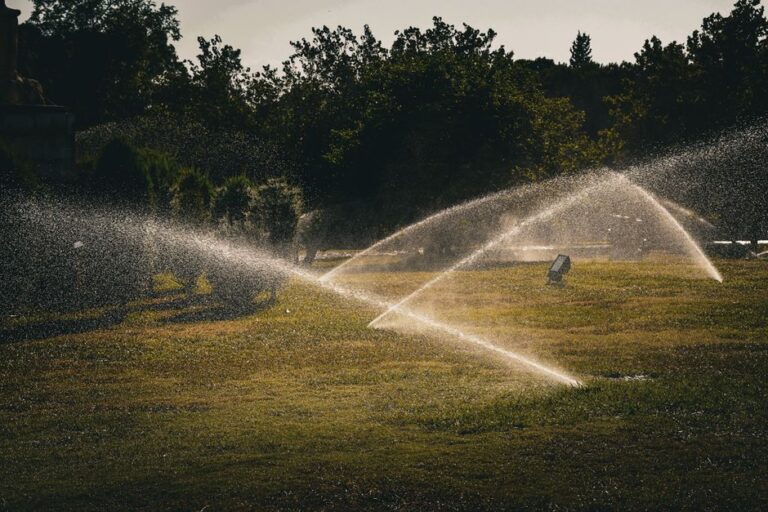 irrigation system