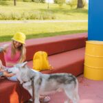 pet boarding facility