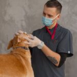 clínica veterinaria reserva